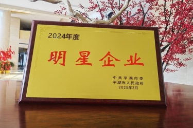 新春新景新氣象 | 景興紙業(yè)在平湖三干大會上喜摘榮譽(yù)！